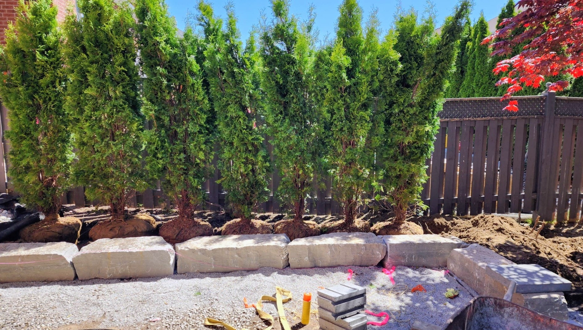 TREE & SHRUB PLANTING